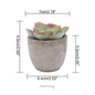 Mini Artificial Aloe Plants Bonsai Small Simulated Tree Pot Plants Fake Flowers Office Table Potted Ornaments Home Garden Decor